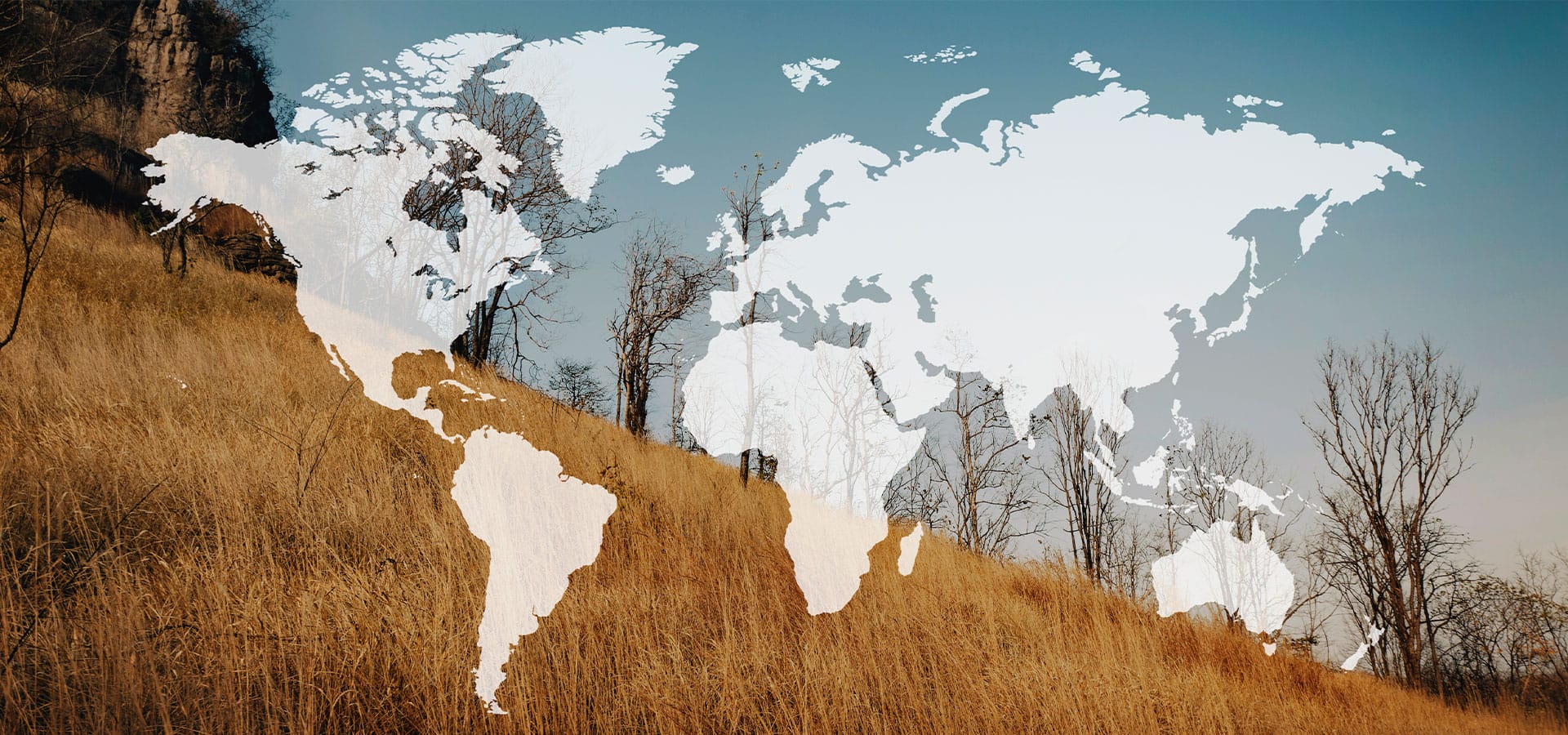 Consultoria de Viagens Exclusiva