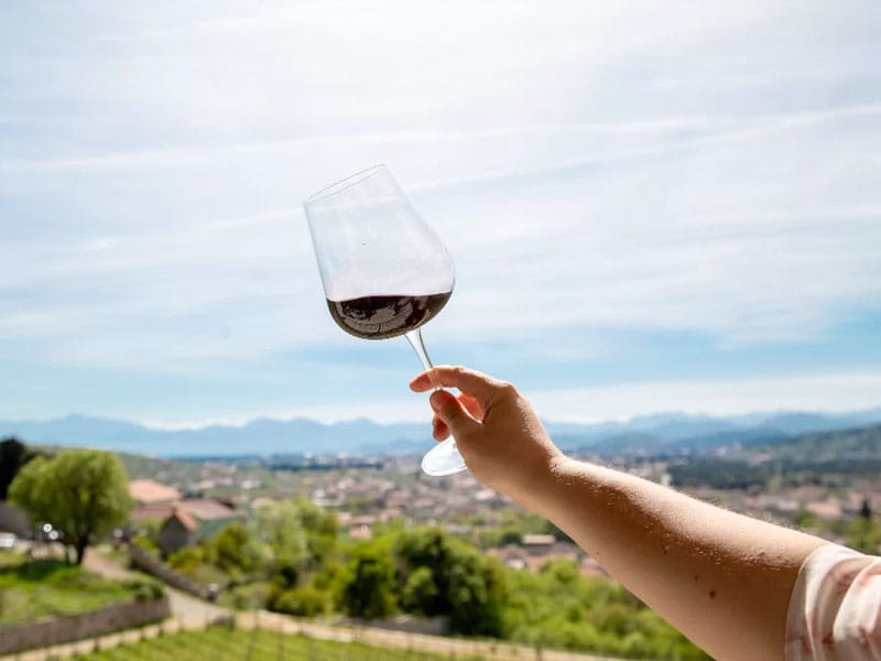 Destinos para quem ama vinho: do Brasil � Europa, roteiros que encantam todos os sentidos