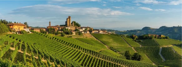 Sabores da It�lia - 12 noites