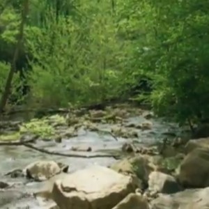 Ecoturismo